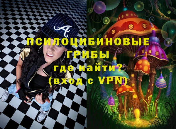 амф Верхний Тагил