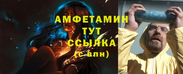 амф Верхний Тагил