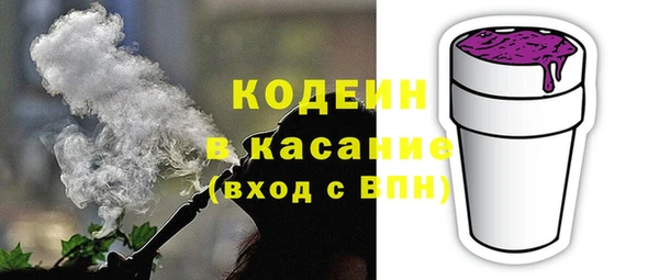 амф Верхний Тагил