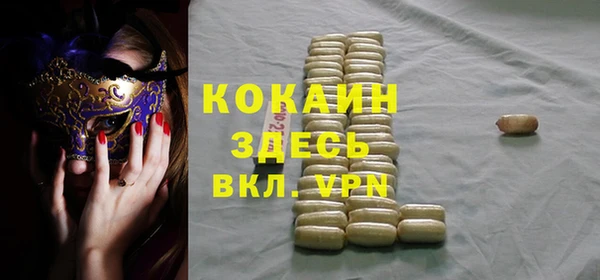 амф Верхний Тагил