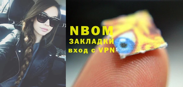 амф Верхний Тагил