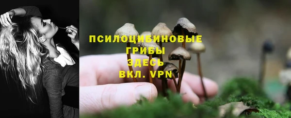 мяу мяу мука Верхнеуральск