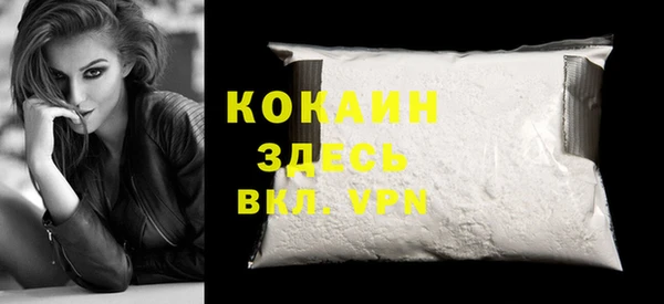 амф Верхний Тагил