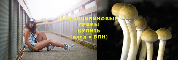 амф Верхний Тагил