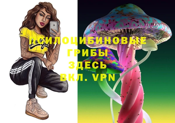 амф Верхний Тагил