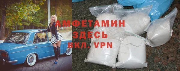 амф Верхний Тагил
