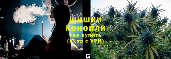 амф Верхний Тагил
