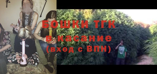 амф Верхний Тагил
